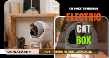 Can Boxicat Litter Be Safely Used in Electric Cat Boxes?