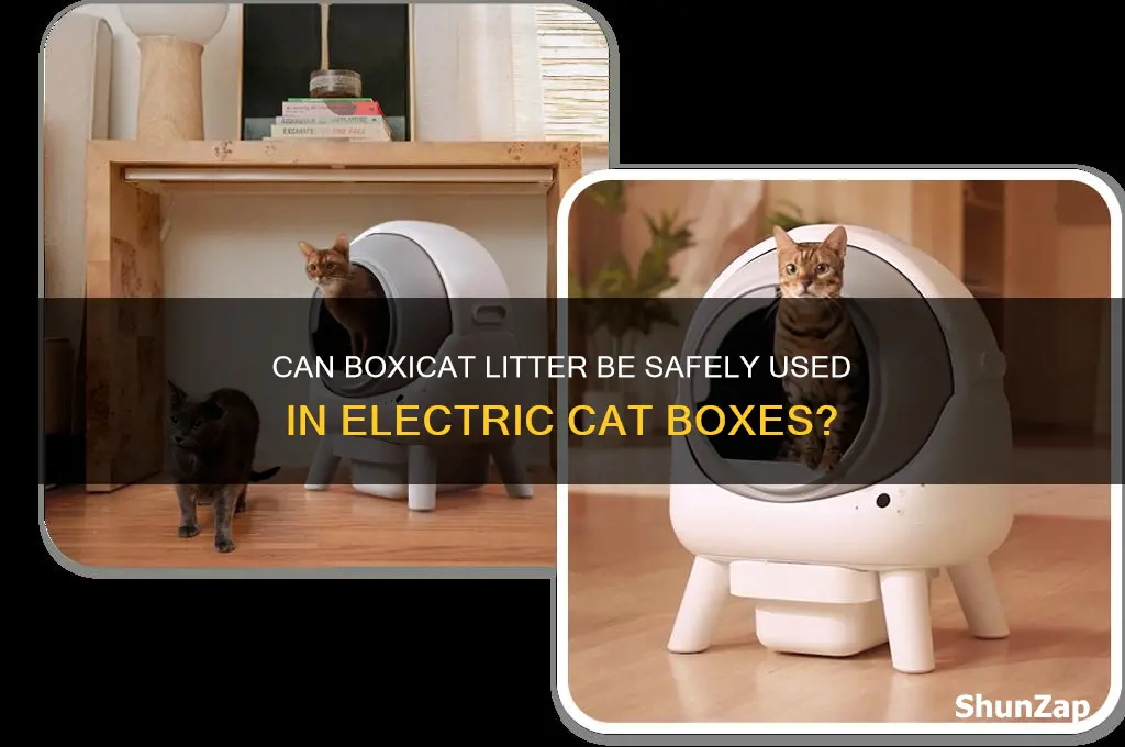 can boxicat be used in an electric cat box