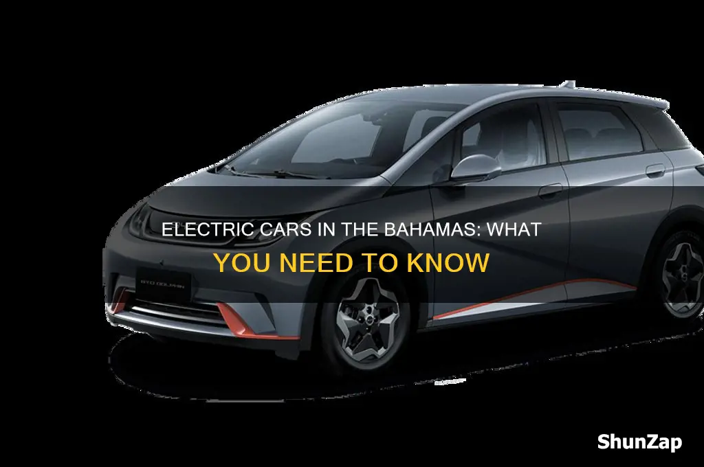 can bring a electric car into the bahamas