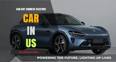 Buying Chinese Electric Cars in the US: Challenges and Opportunities