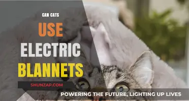 Can Cats Safely Use Electric Blankets? Expert Tips and Advice