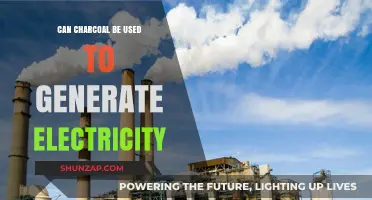 Using Charcoal for Electricity Generation: A Viable Alternative Energy Source?