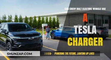 Can Chevy Bolt Use Tesla Chargers? EV Charging Compatibility Explained