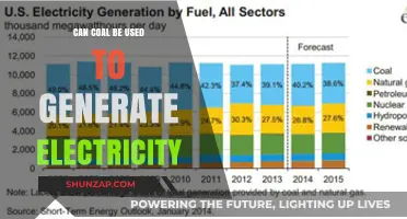 Can Coal Power Our Future? Exploring Electricity Generation Methods