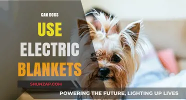 Can Dogs Safely Use Electric Blankets? A Pet Owner's Guide
