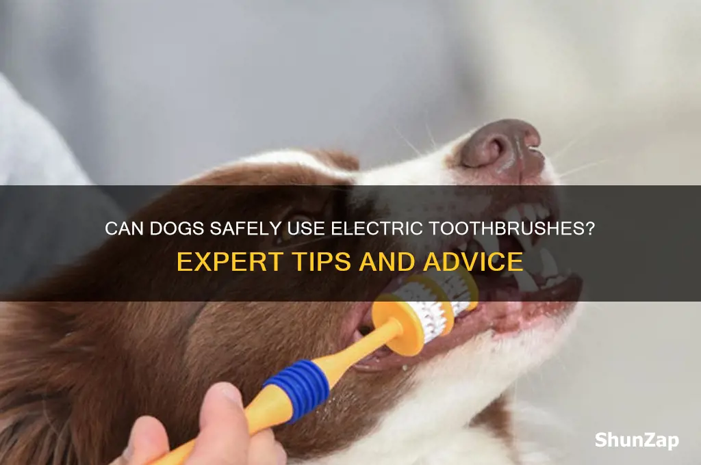 can dogs use electric toothbrush
