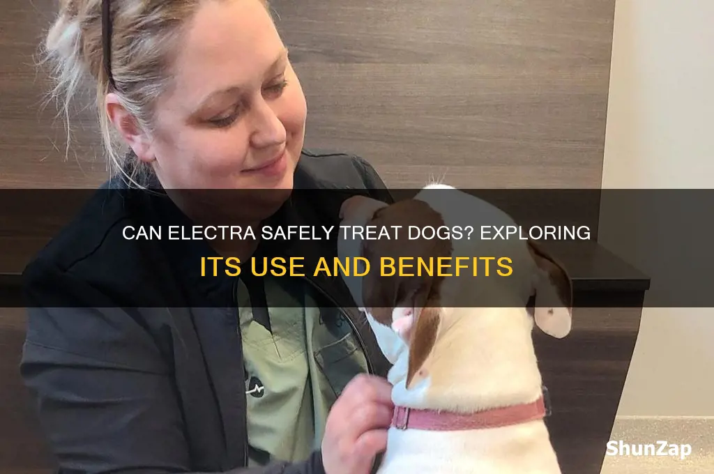 can electra be used on dogs