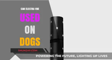 Can Electra Be Safely Used on Dogs? A Comprehensive Guide