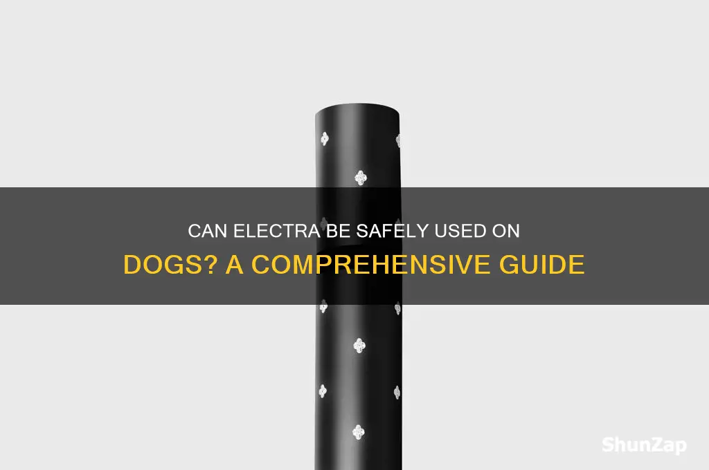 can electra vbe used on dogs