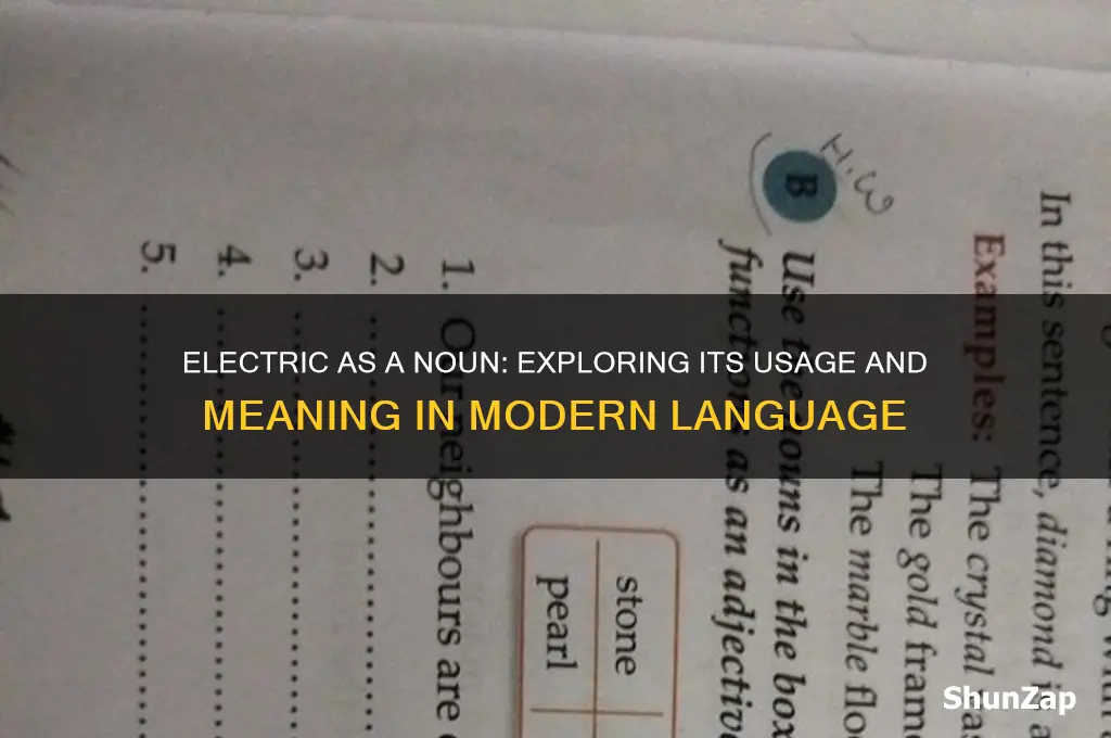 can electric be used as a noun