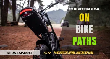 Electric Bikes on Bike Paths: Rules, Benefits, and Considerations