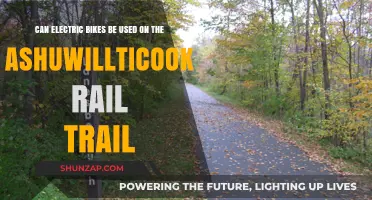 Exploring the Ashuwillticook Rail Trail: Are E-Bikes Allowed?