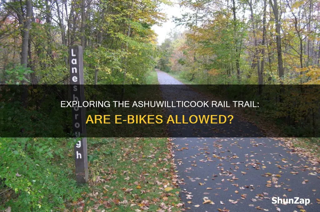 can electric bikes be used on the ashuwillticook rail trail