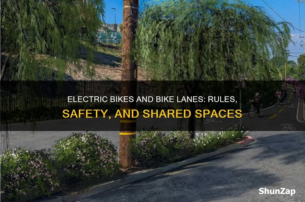can electric bikes use bike lanes