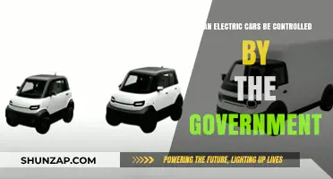 Government Control Over Electric Vehicles: Possibilities, Concerns, and Implications