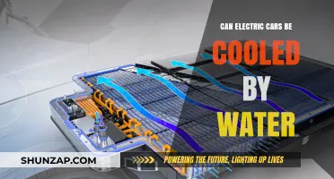 Water Cooling Electric Vehicles: Efficient Solution or Practical Challenge?