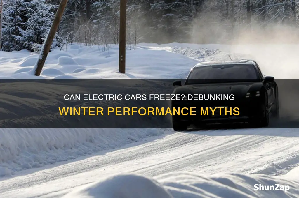 can electric cars be frozen