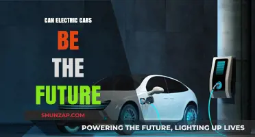 Electric Cars: The Sustainable Future of Transportation?