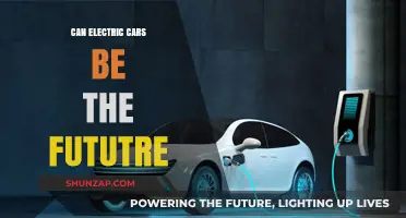 Electric Cars: The Sustainable Future of Transportation?