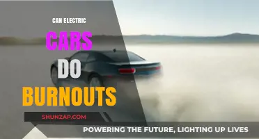 Electric Cars and Burnouts: Can EVs Perform Tire-Scorching Stunts?