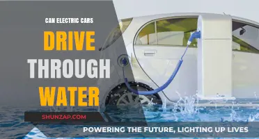 Can Electric Cars Safely Navigate Flooded Roads and Water?
