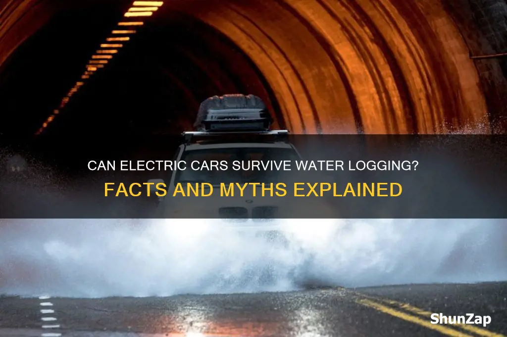 can electric cars get water logged