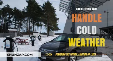 Electric Cars in Winter: Performance, Range, and Cold Weather Challenges
