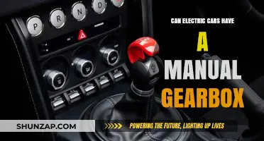 Electric Cars and Manual Gearboxes: A Feasible Combination?