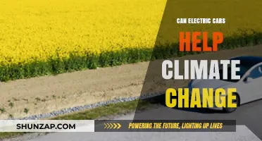 Electric Cars: A Viable Solution to Combat Climate Change?