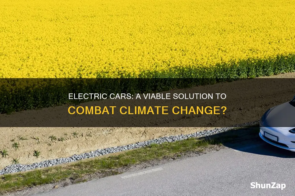 can electric cars help climate change