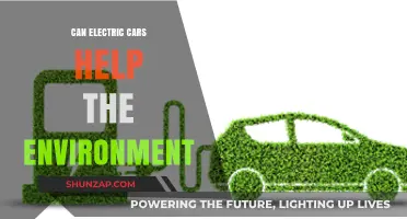 Electric Cars: A Sustainable Solution for Environmental Conservation?