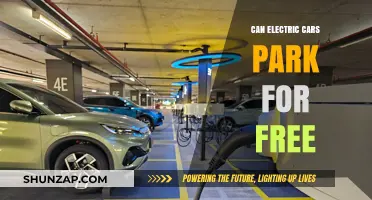 Free Parking for Electric Cars: Myths, Benefits, and City Policies
