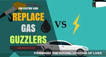 Electric Cars vs. Gas Guzzlers: The Future of Sustainable Transportation