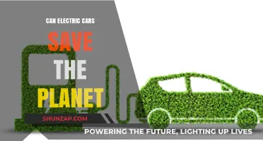 Electric Cars: A Sustainable Solution to Save Our Planet?