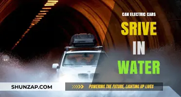 Can Electric Cars Drive in Water? Debunking Myths and Facts