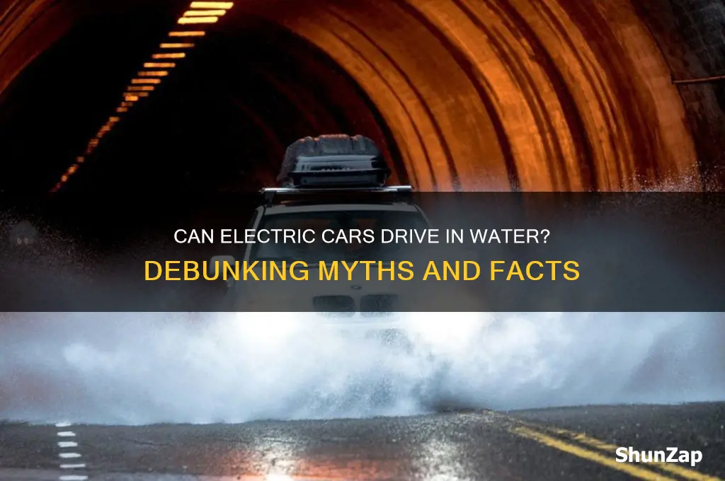 can electric cars srive in water