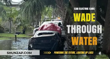 Electric Cars and Water: Can They Safely Wade Through Floods?