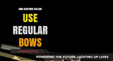 Electric Cellos and Regular Bows: Compatibility Explained for Musicians