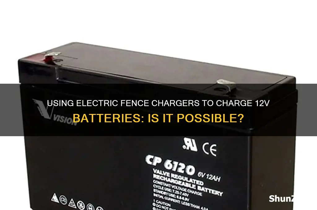 can electric fence chargers be used to charge 12v battery