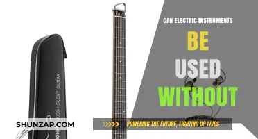 Can Electric Instruments Function Without Power? Exploring Unplugged Possibilities