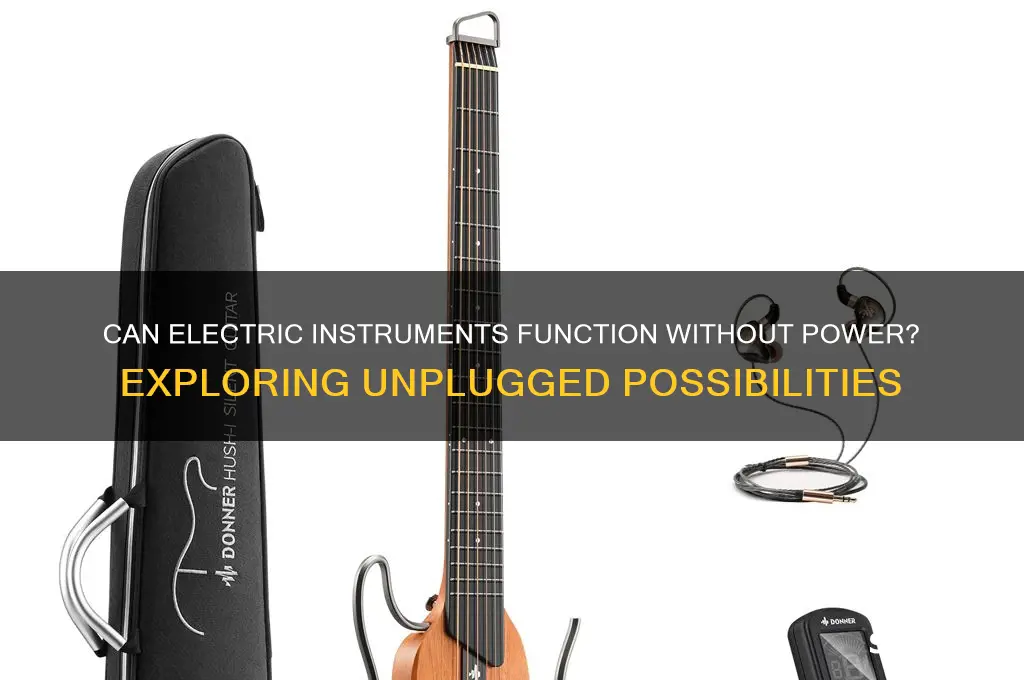 can electric instruments be used without