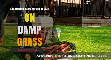 Using Electric Lawn Mowers on Damp Grass: Safety Tips and Best Practices