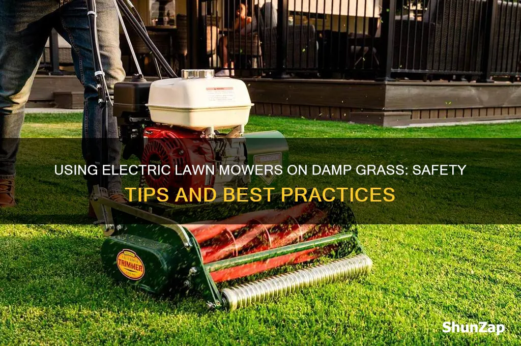 can electric lawn mower be used on damp grass