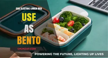 Electric Lunch Box as Bento: Practicality, Benefits, and Creative Uses