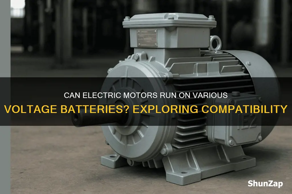 can electric motors use different voltage batteries