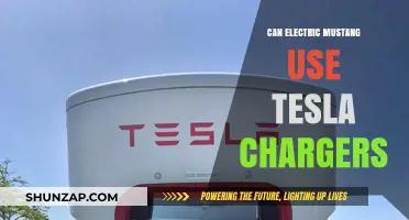 Can Electric Mustangs Use Tesla Chargers? Compatibility Explained