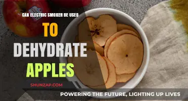 Using Electric Smokers for Apple Dehydration: Tips and Techniques