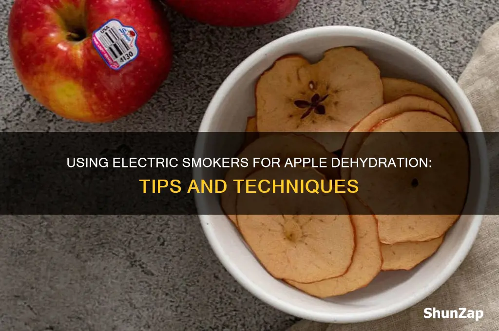 can electric smoker be used to dehydrate apples
