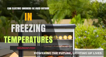 Electric Smokers in Freezing Temps: Outdoor Use Tips and Limits