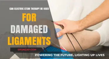 Electric Stem Therapy: A Potential Solution for Damaged Ligaments?